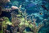 1 March 09

Happy First of March, the month of pisces!